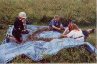 thm_Sommer2003 028.jpg